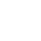 Secure Icon
